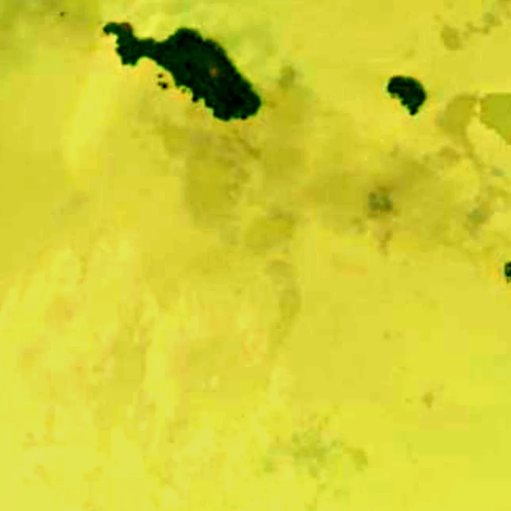 Lake Chad seen from above (Sentinel-2)