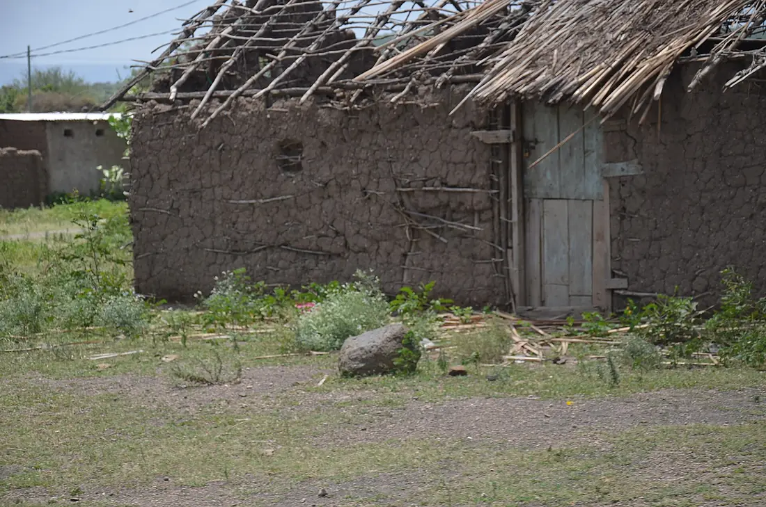 A hut in Eyasi