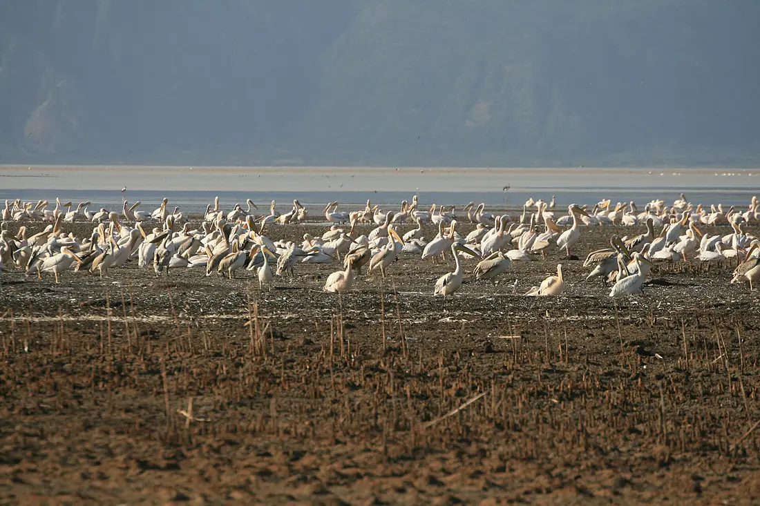 Lake Eyasi-8