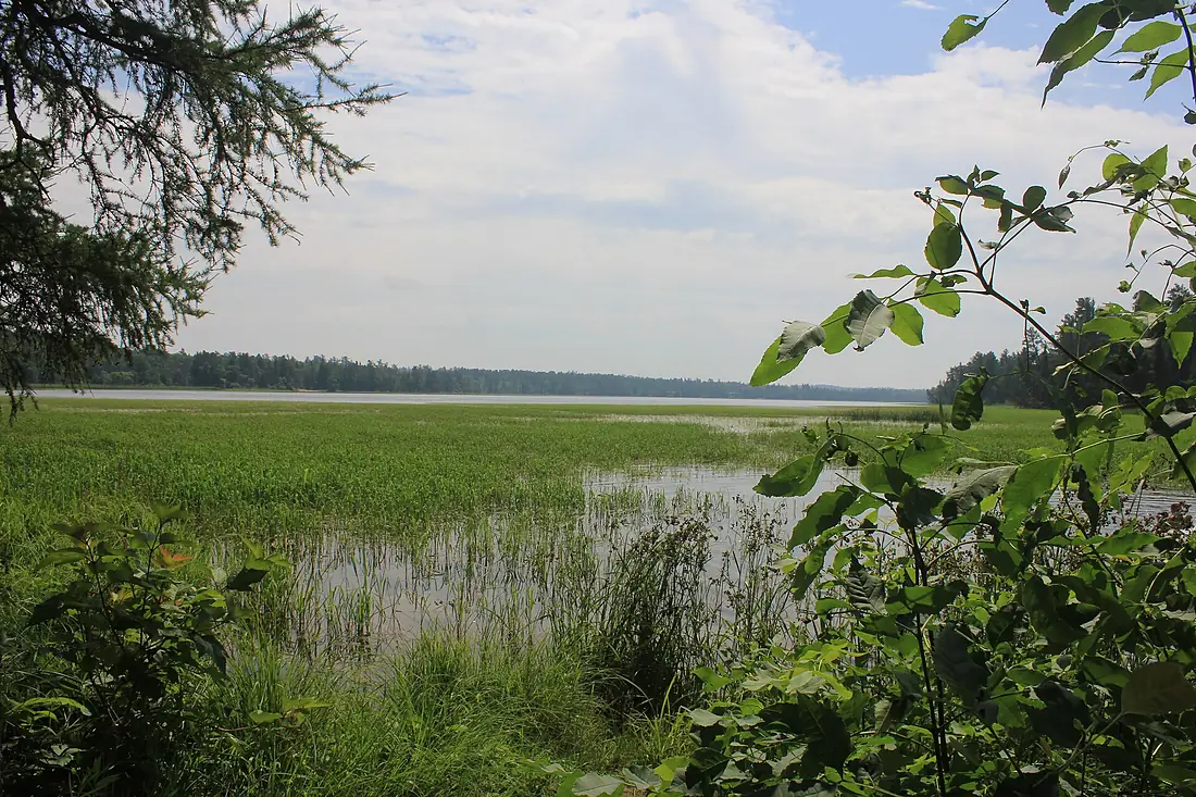 Lake Itasca, MN looking from the Mississippi Headwaters