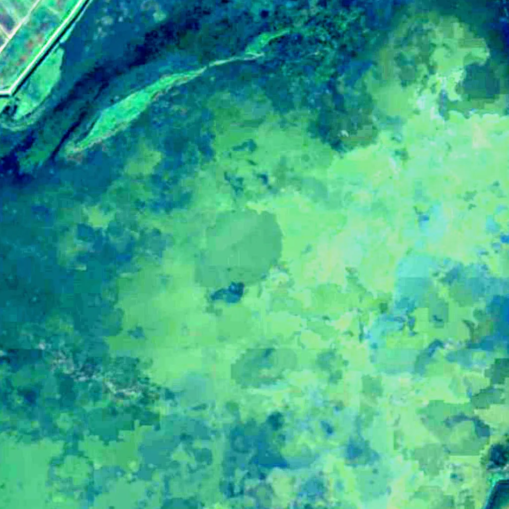 Lake Lubāns seen from above (Sentinel-2)