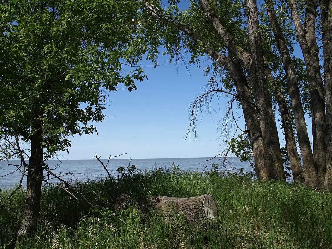 Delta Marsh Field Station Manitoba Canada (3)