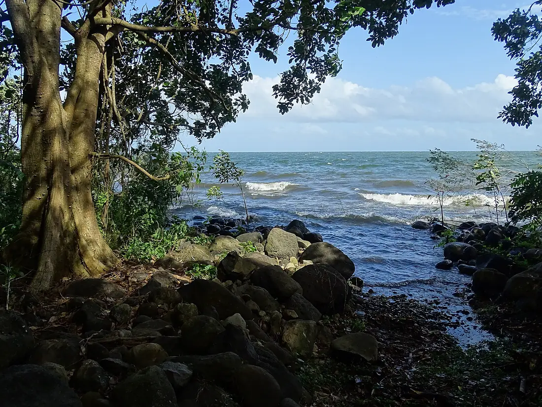 Along the Shore of Lake Nicaragua - Ometepe Island - Nicaragua (31604160892)