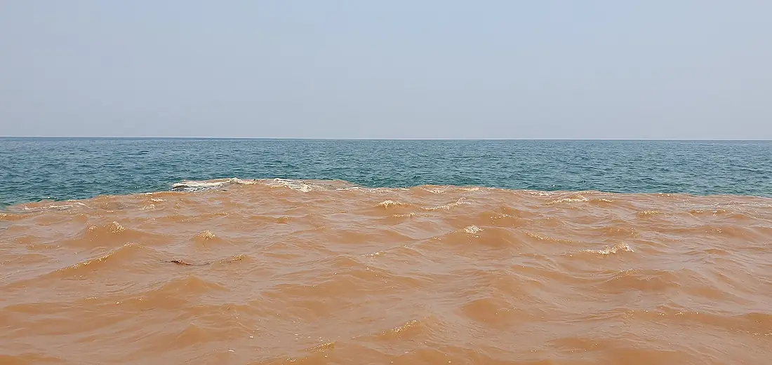 La rivière Rusizi qui entre dans le lac Tanganyika