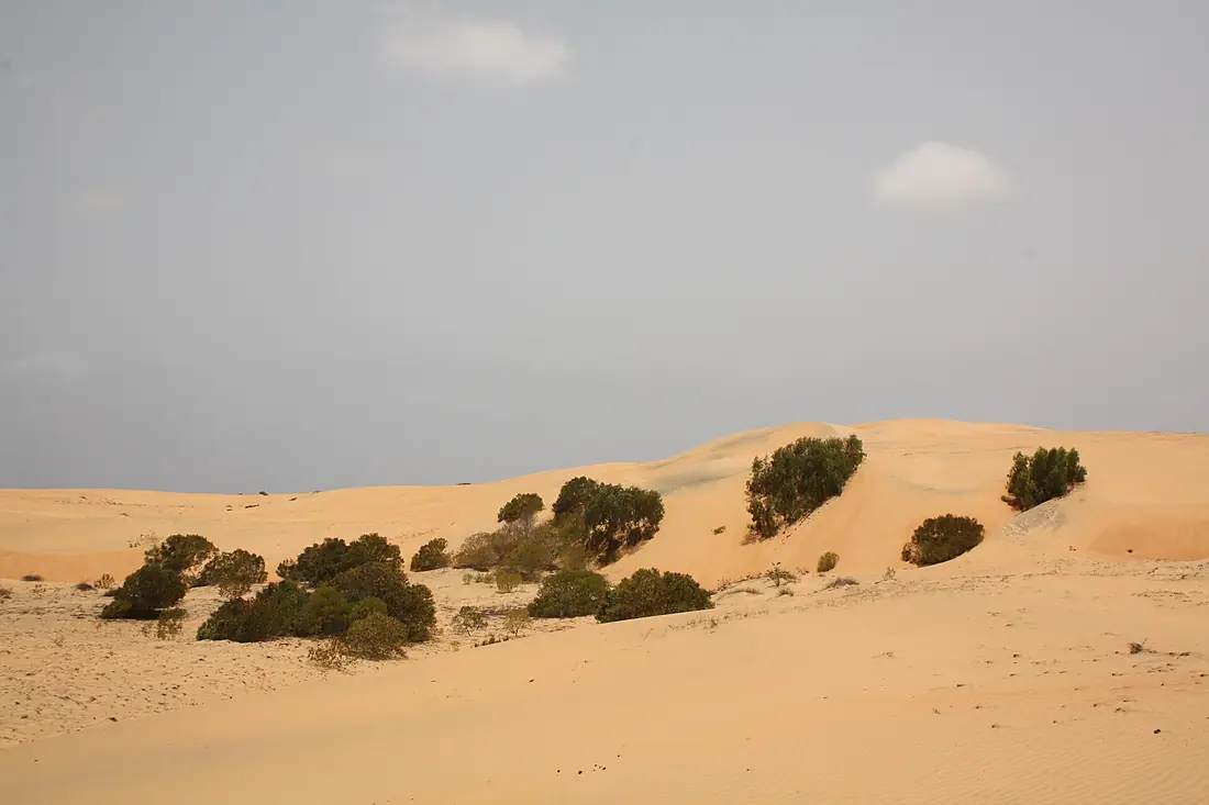 2017-06 Lompoul Desert 1