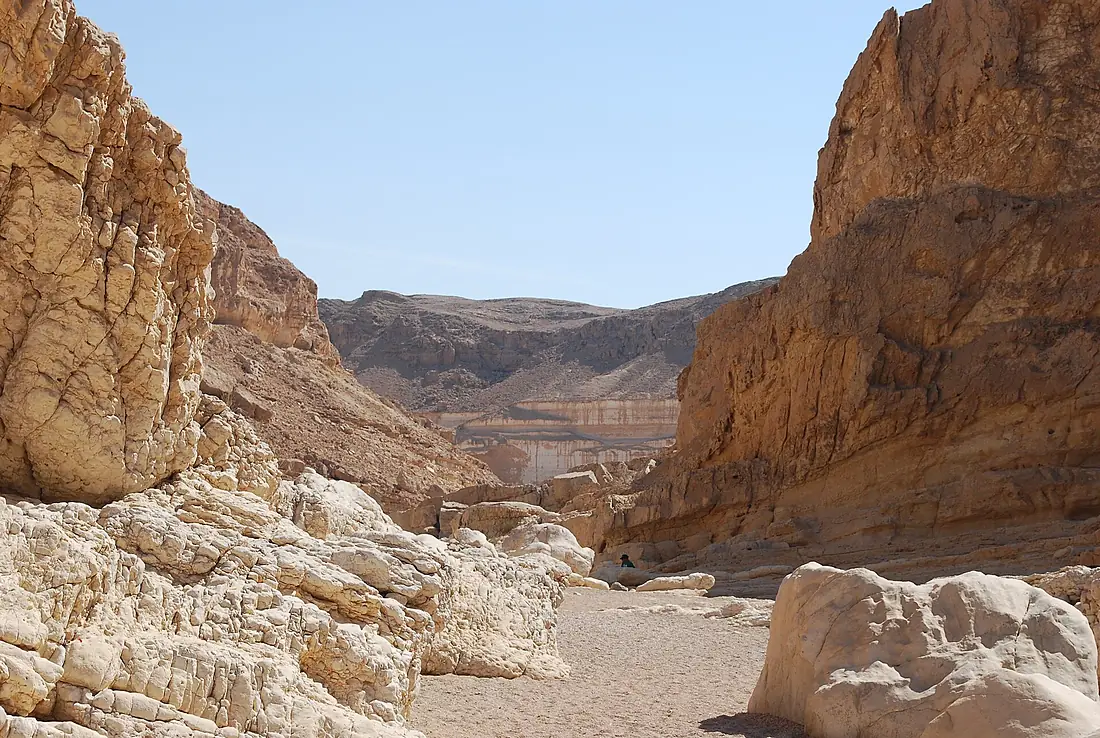 Canyon walls in Maktesh Ramon (2961433124)