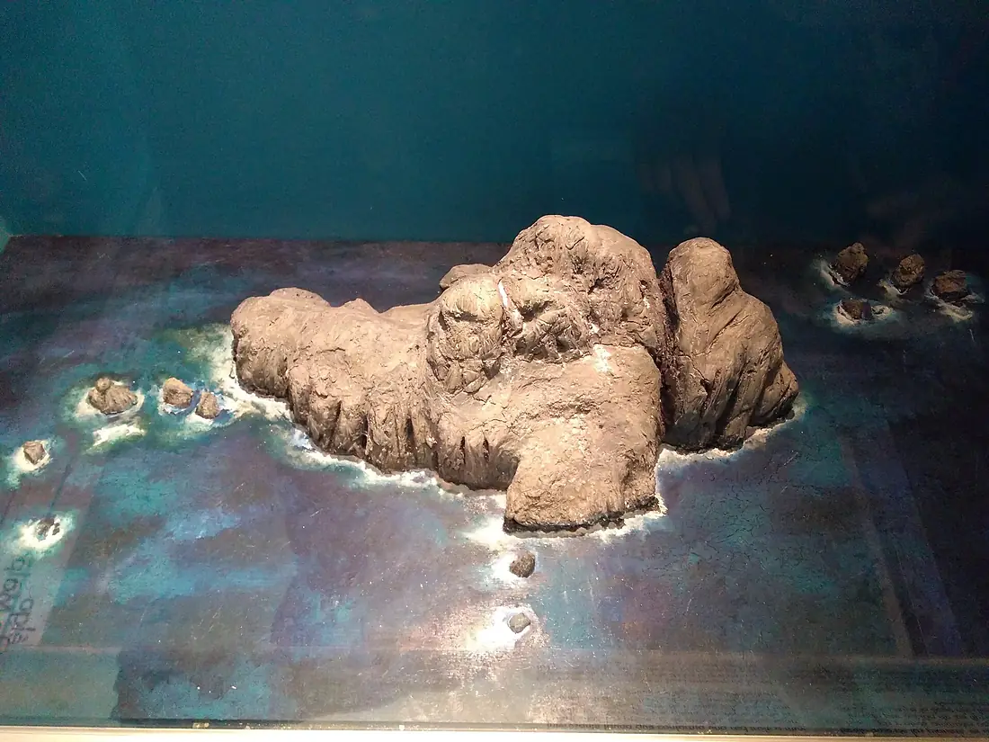 Museo de Ciencias Naturales Federico Carlos Lehmann 16
