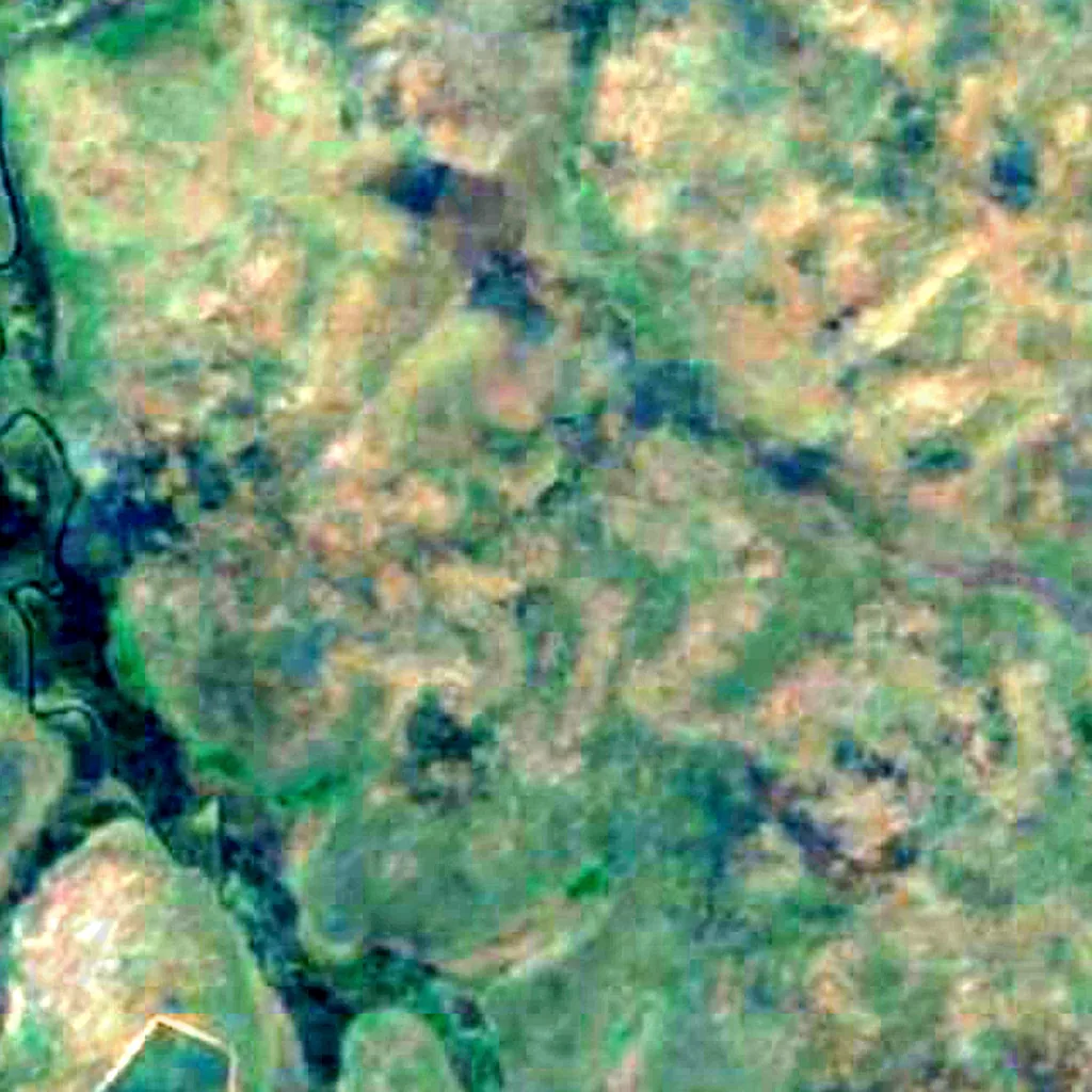 Melville Island seen from above (Sentinel-2)