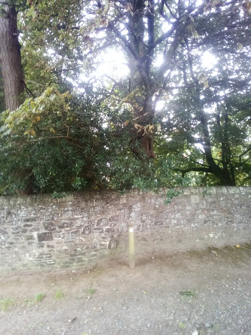 Boundary wall to Victoria Place, Larch-hill house Moffat