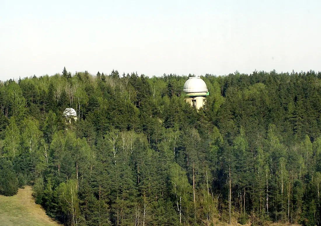 Kaldiniai