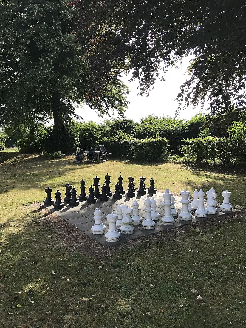 Let's play chess