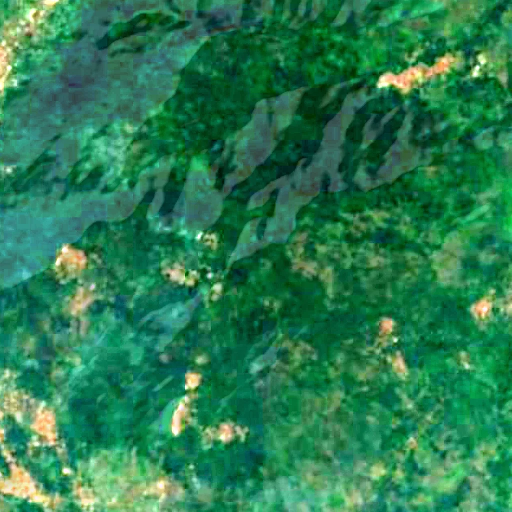 Mount Agou seen from above (Sentinel-2)