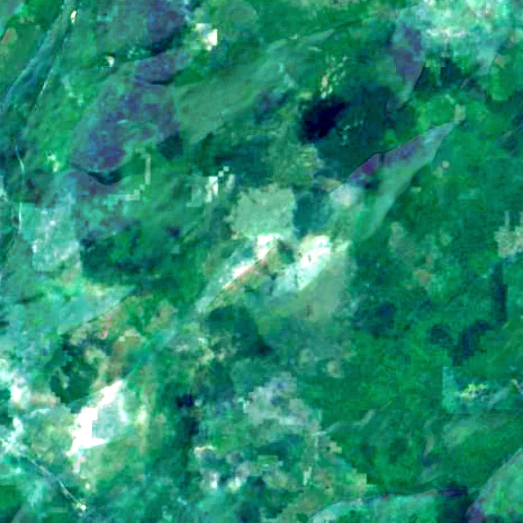 Mount Carleton Provincial Park seen from above (Sentinel-2)
