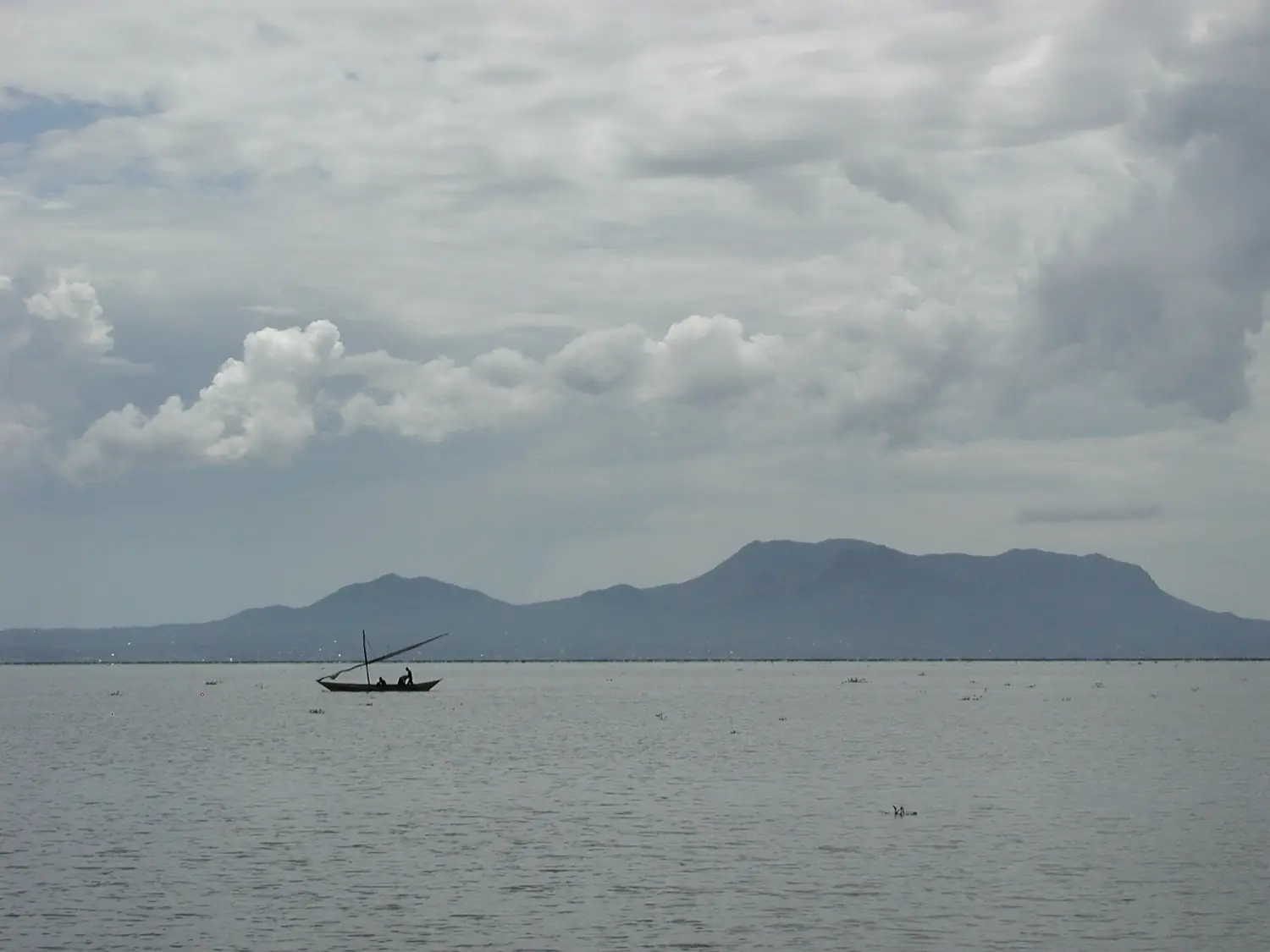 MountHoma