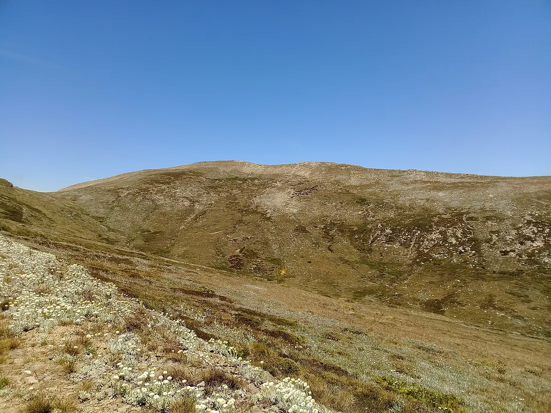 Kosciusko Mountain view from the track