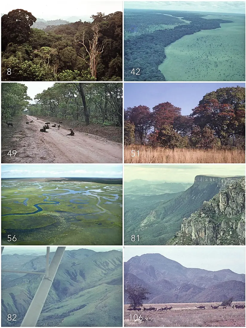 Photo images of Angolan ecoregions