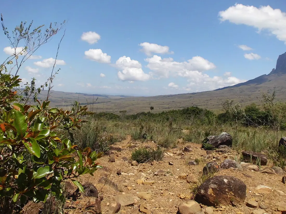 CAMINITO AL RORAIMA
