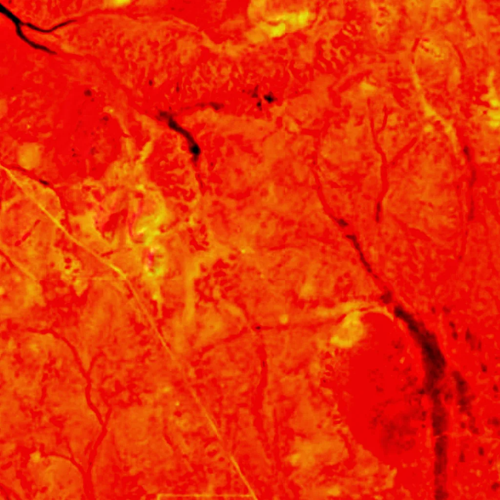 Murchison Radio-astronomy Observatory seen from above (Sentinel-2)
