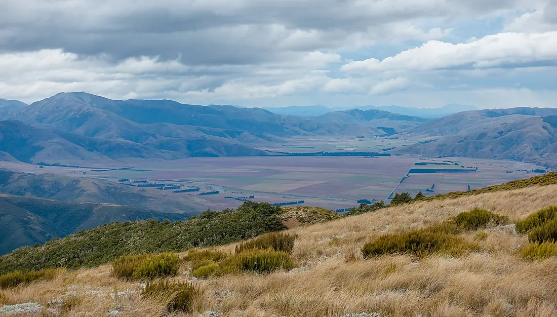 Lees valley from Mt Oxford, Oxford Forest Conservation Area, Canterbury, New Zealand 08