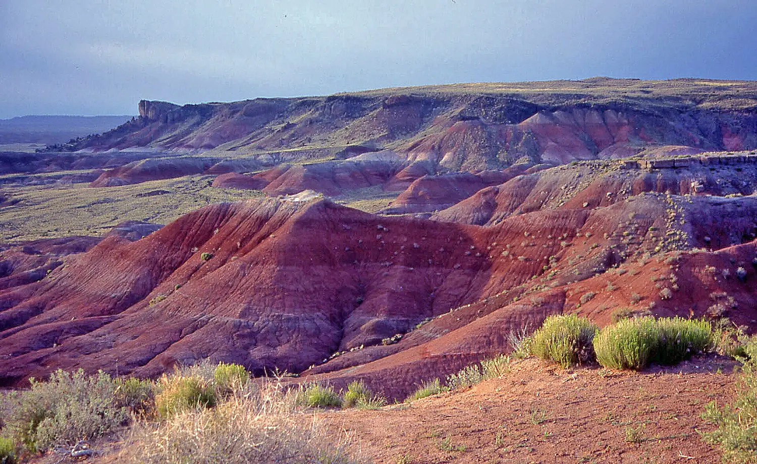 00 1025 The Painted Desert - Arizona (USA)