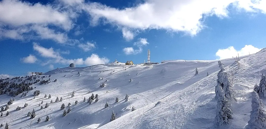 NP05 - Naconalni park Kopaonik, Pančićev vrh