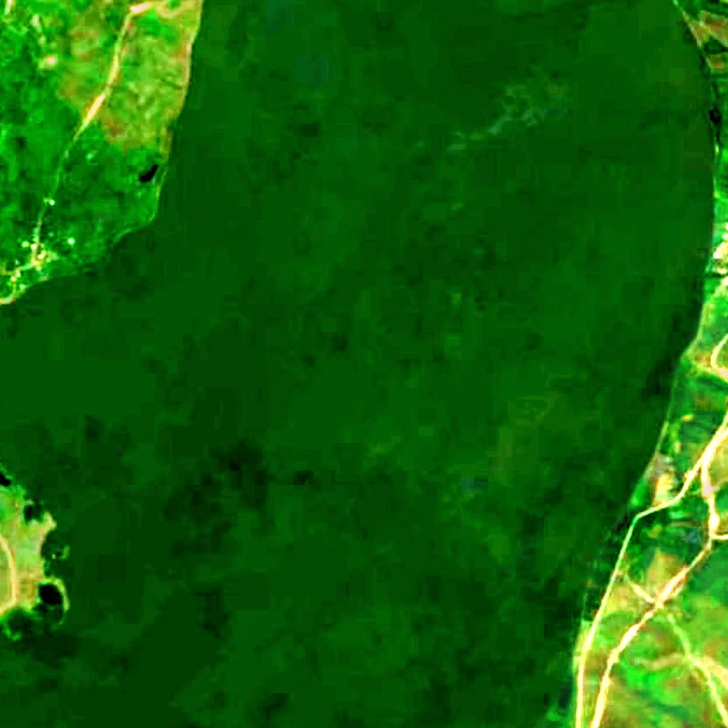 Paravani Lake seen from above (Sentinel-2)