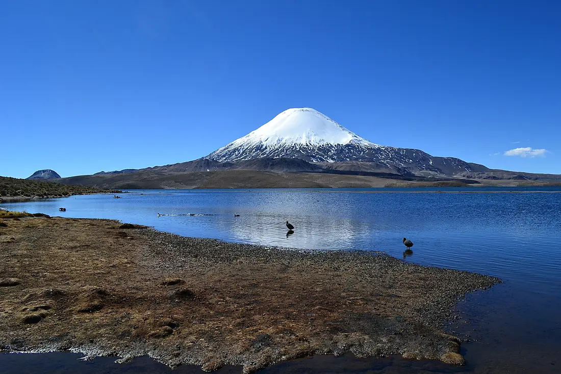Lago Chungará - Parque Nacional Lauca - Región de Arica y Parinacota
