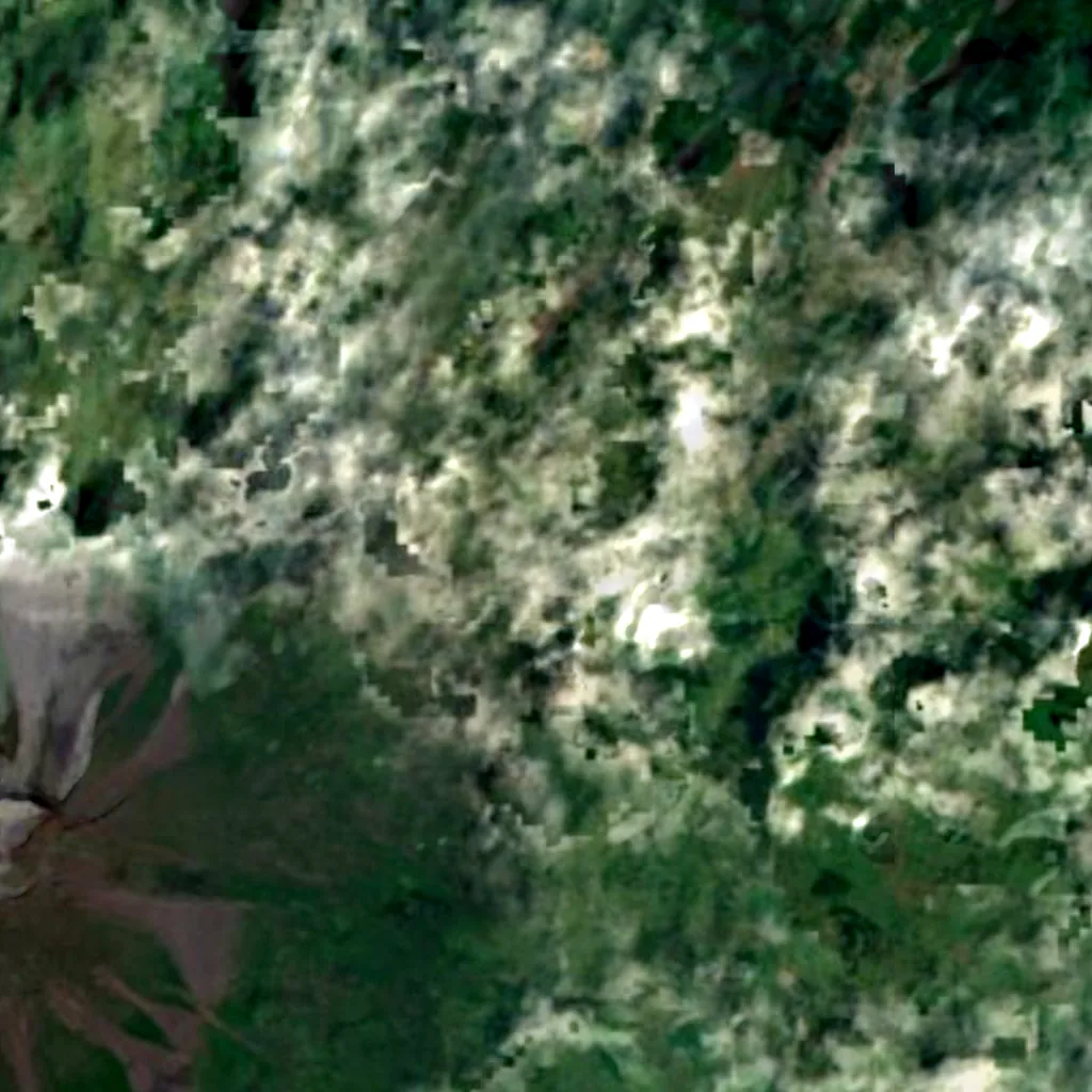 Pico Island seen from above (Sentinel-2)