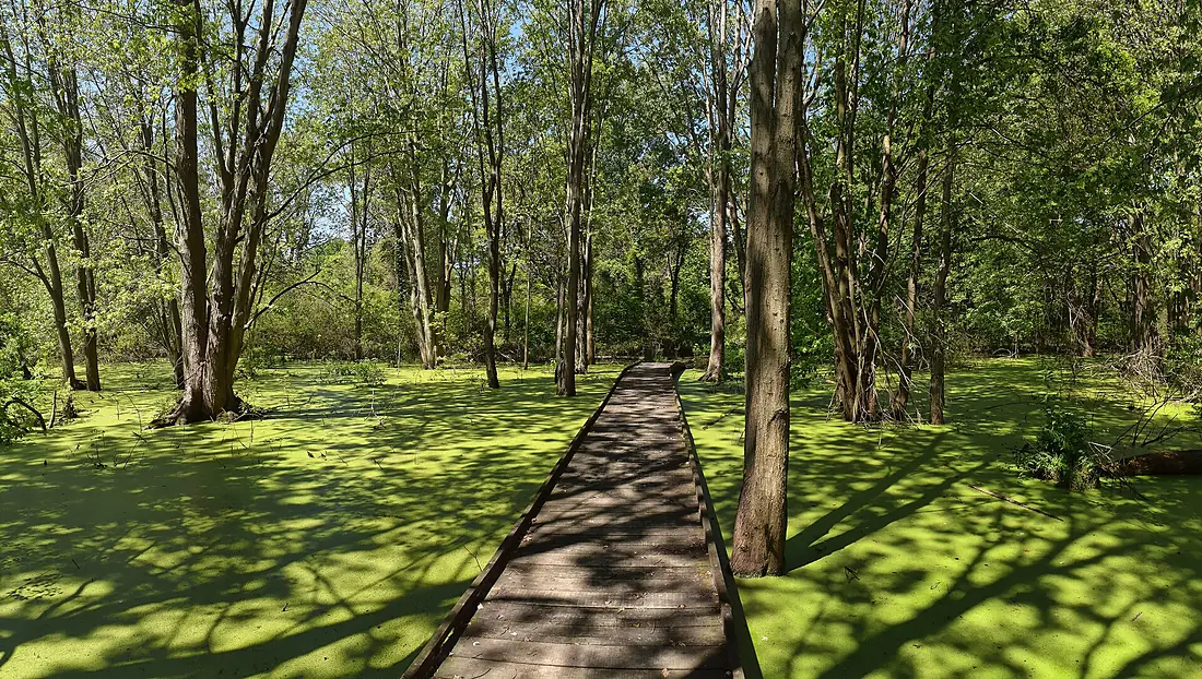 Woodland Nature Trail