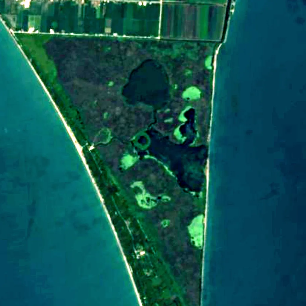 Point Pelee National Park seen from above (Sentinel-2)