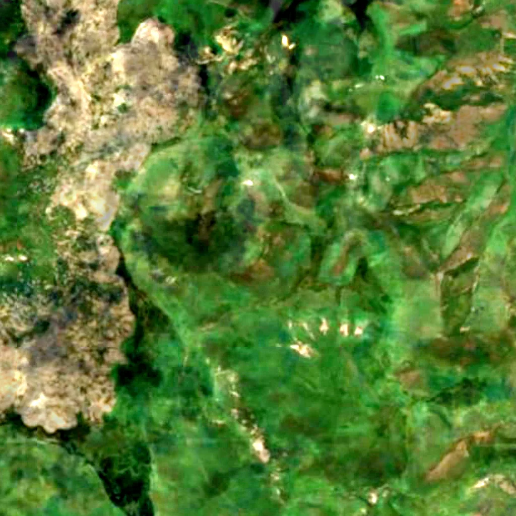 Porak seen from above (Sentinel-2)