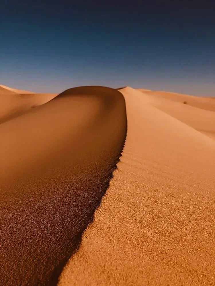 Algerian Saharah