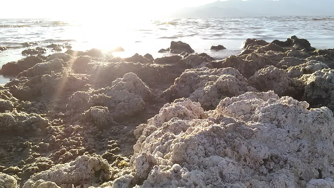 Salty Salton Sea Beach
