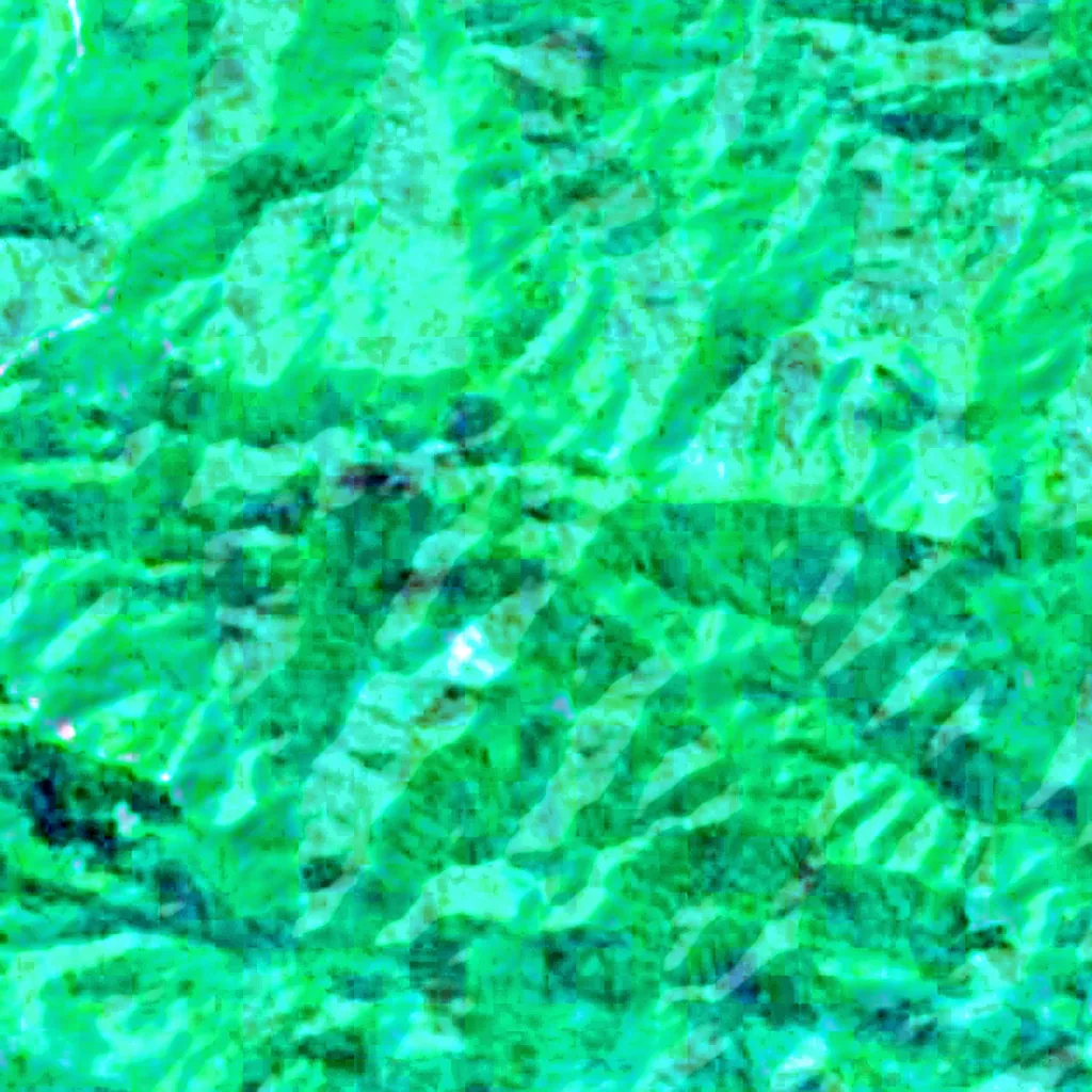 Seram seen from above (Sentinel-2)