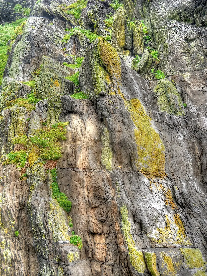 Abstraction on cliff (8045740720)