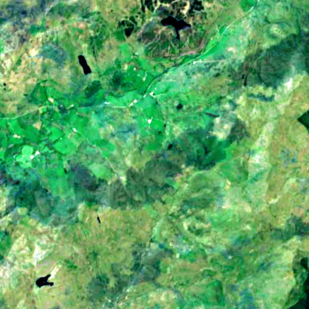 Snowdonia seen from above (Sentinel-2)