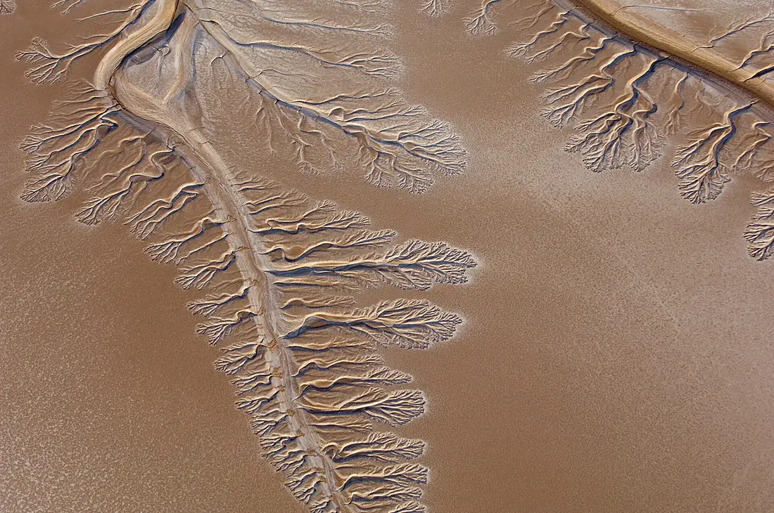 Colorado River Dry Delta