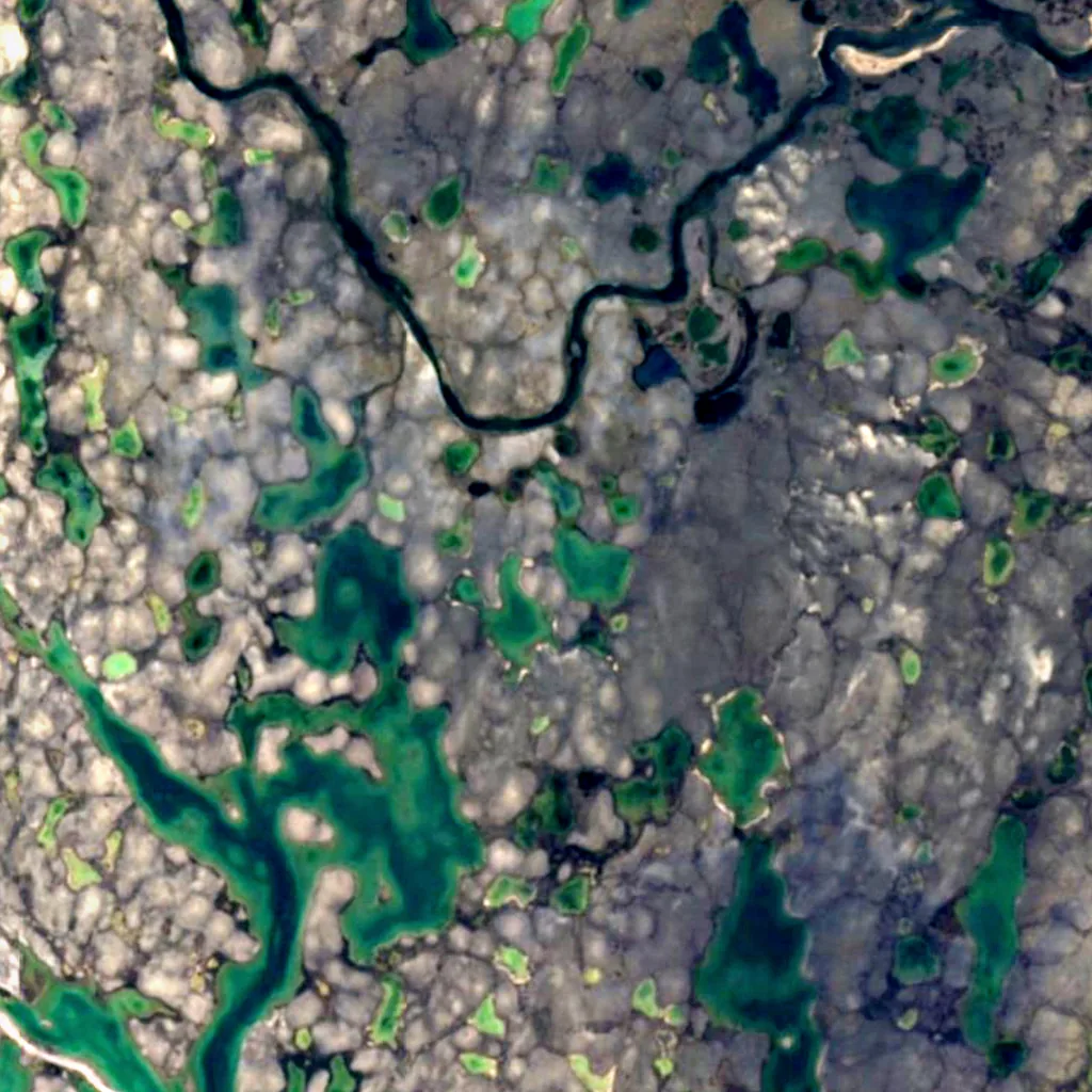 Southampton Island seen from above (Sentinel-2)