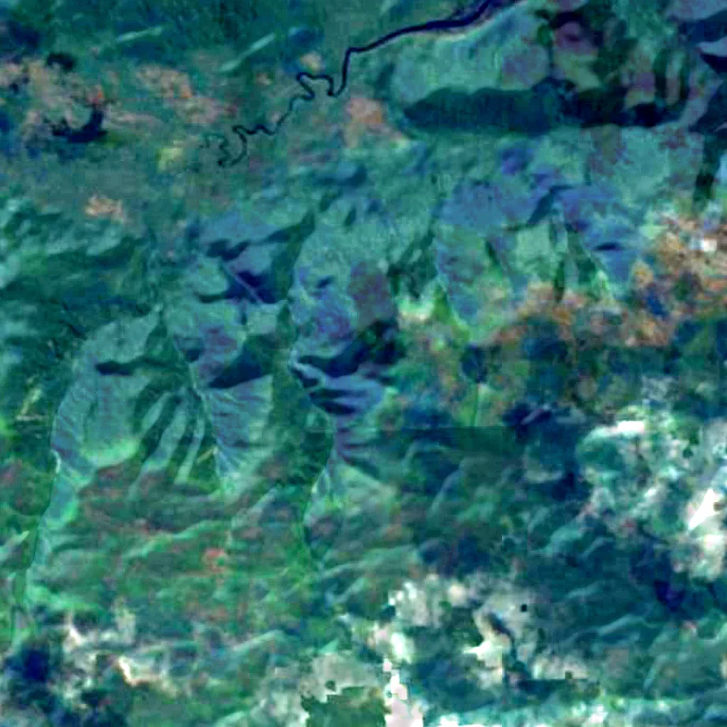 Stewart Island/Rakiura seen from above (Sentinel-2)