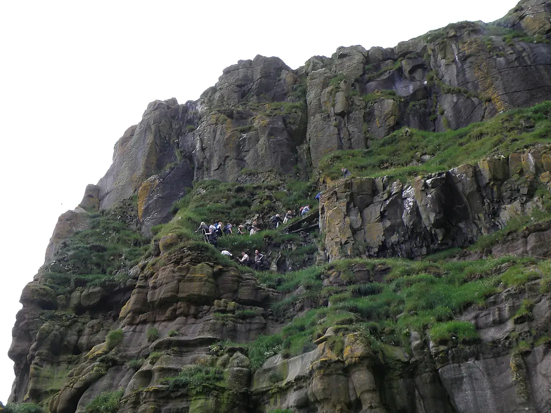 Climbing up the cliffs of Stora Dimun