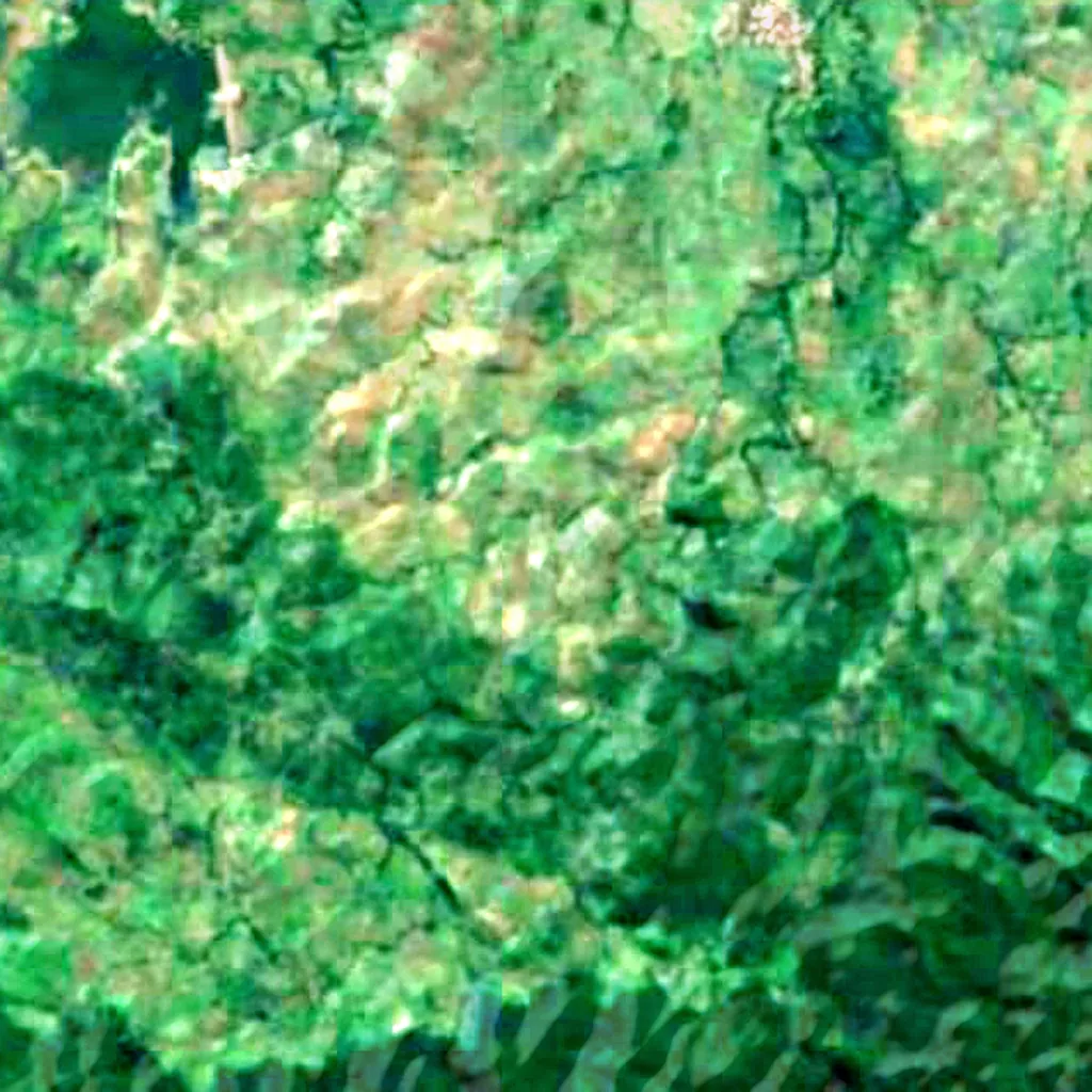 Sumbawa Island seen from above (Sentinel-2)