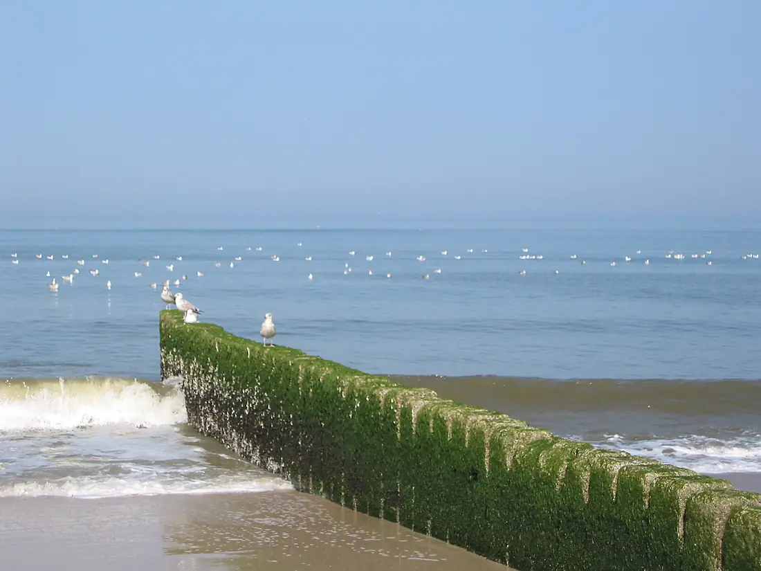 2002-07 Sylt - Groyne