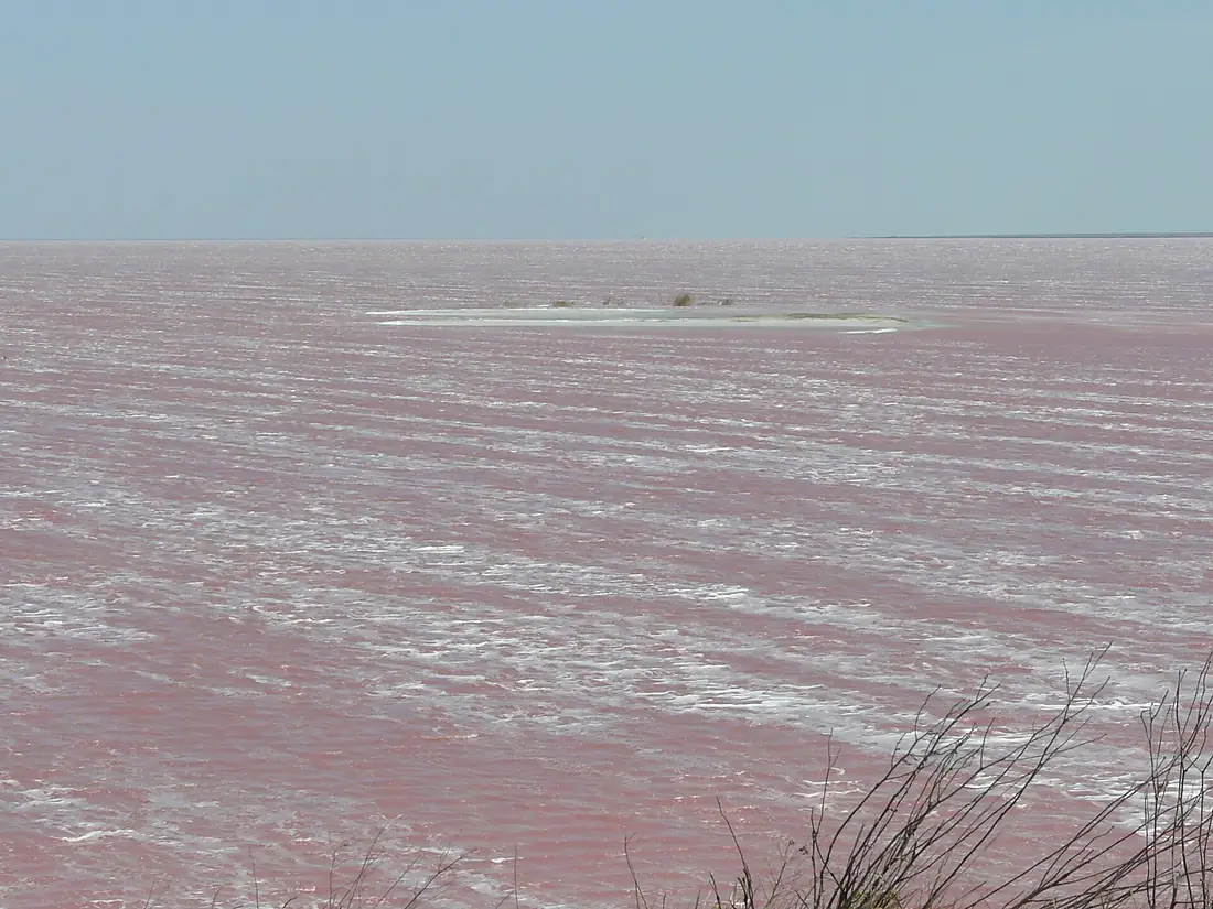Rosa Sole des Siwaschsees im westlichen Teil