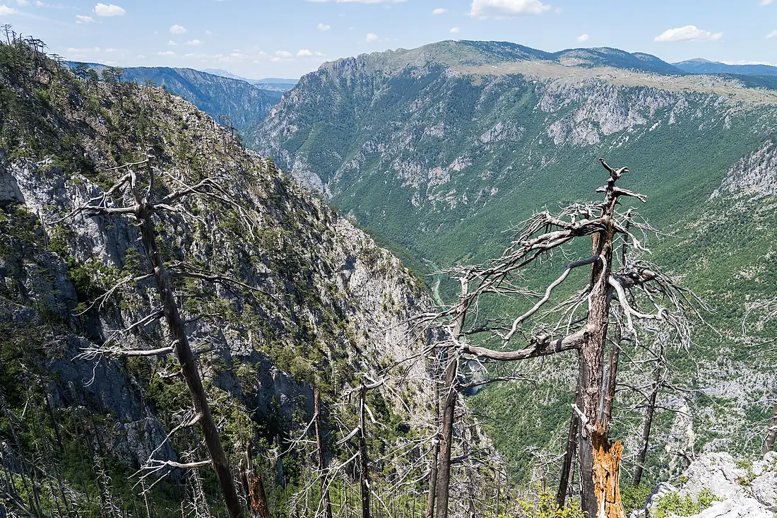 2025-07-13 Tara River Canyon 1