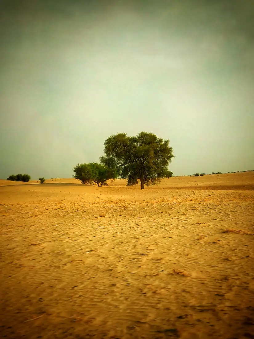 Thal Dessert Landscape