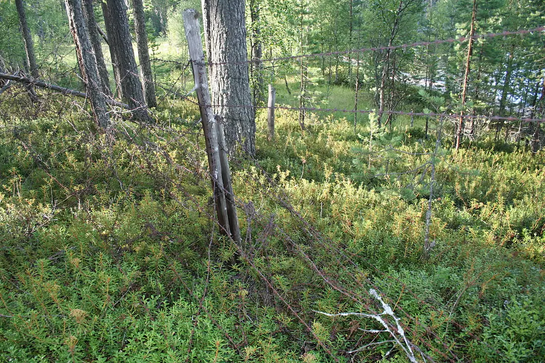Loukhsky District, Republic of Karelia, Russia - panoramio (1)