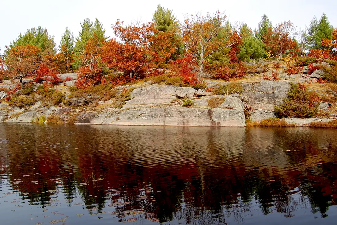 Pond at the Torrance Barrens Conservation Area in 2008