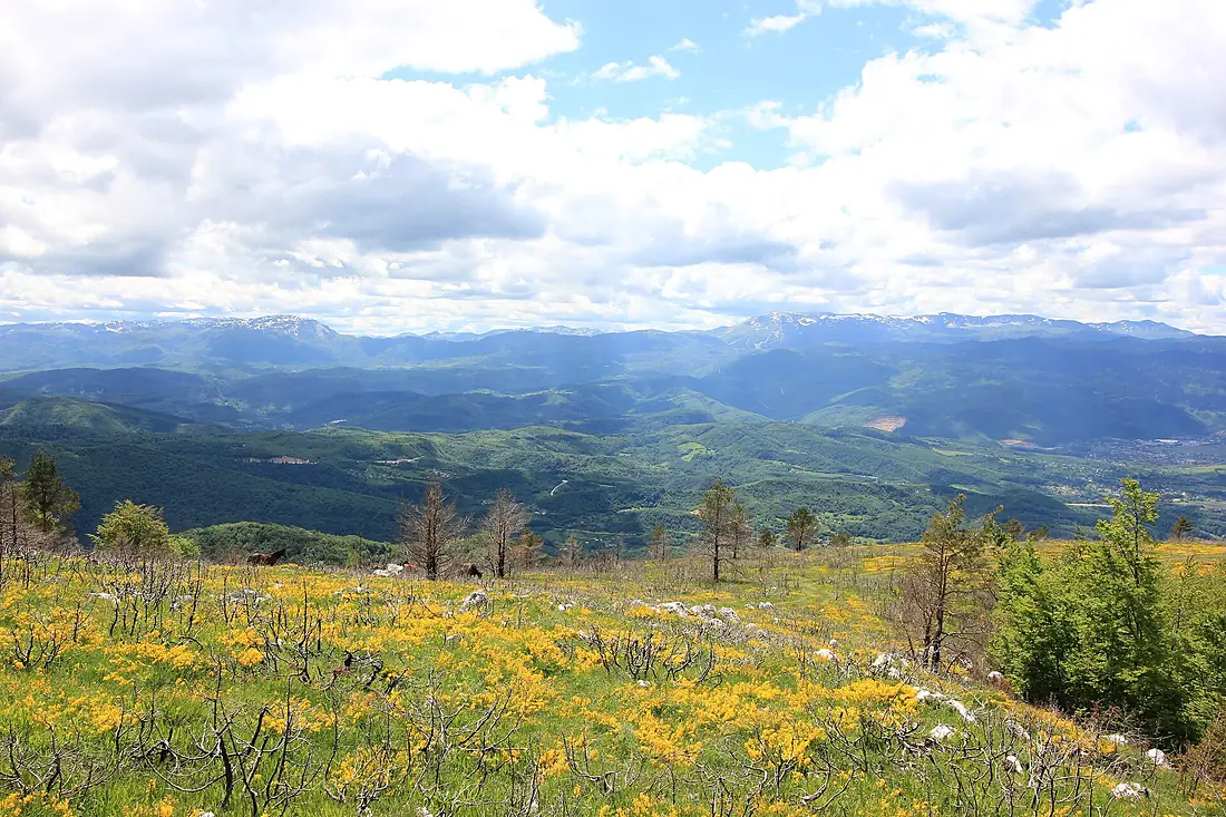 Bjelašnica and Treskavica from Trebević