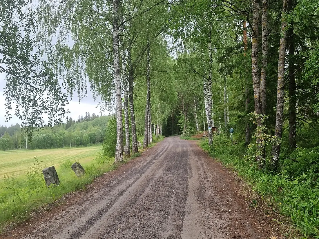 Tuorlan kartano Suuri rantatie