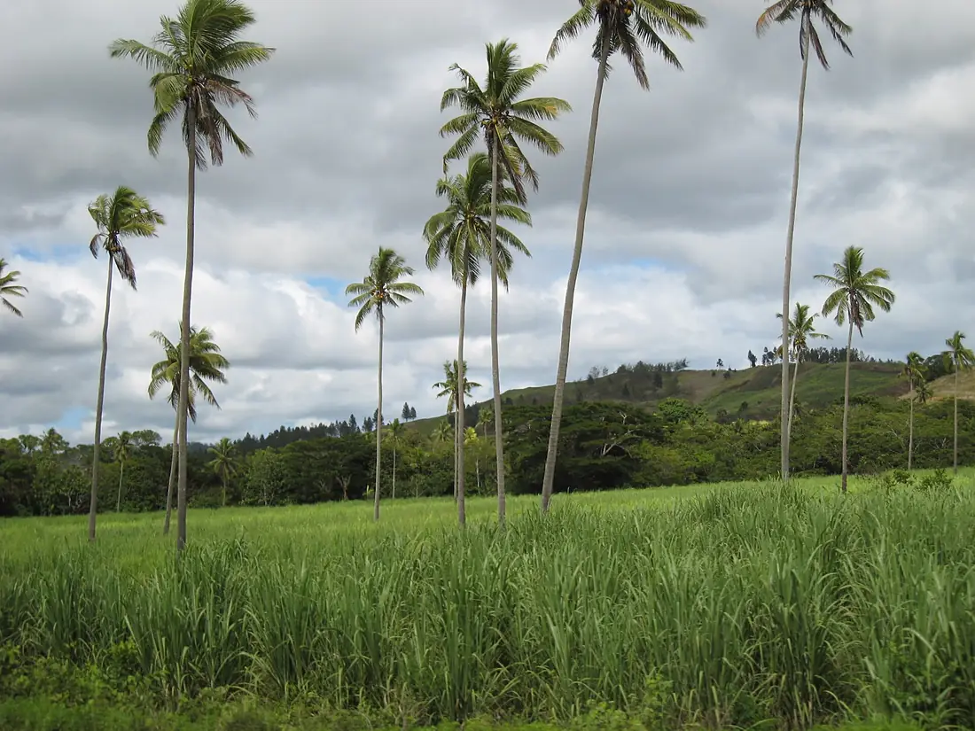 10 Minutes west of Labasa, Vanua Levu, Fiji - panoramio